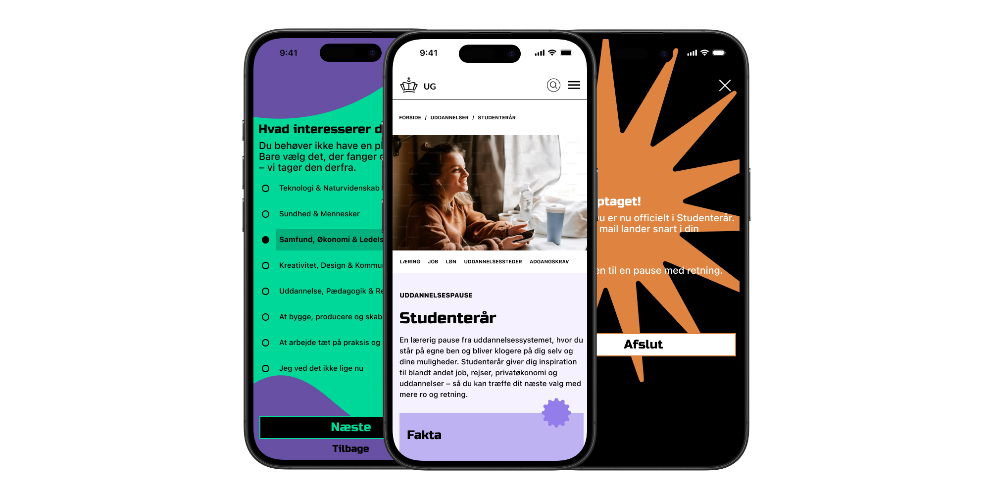 Studenterår — ansøgningsflow